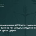 За рішенням суду Болехівська міськрада має заплатити 332 662,10 гривні за шкоду довкіллю