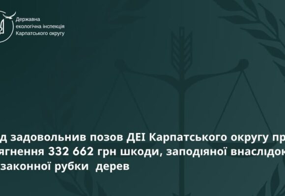 За рішенням суду Болехівська міськрада має заплатити 332 662,10 гривні за шкоду довкіллю