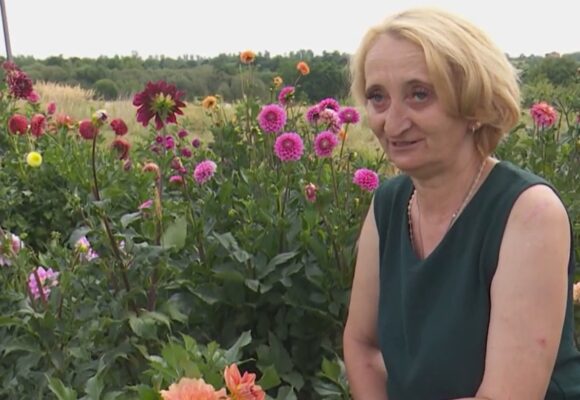 Вивезла жоржини у валізі: історія переселенки з Донеччини, яка відродила свій сад на Прикарпатті