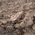 На Рогатинщині чоловік накопав понад дві тонни глини для будівництва — і отримав судимість