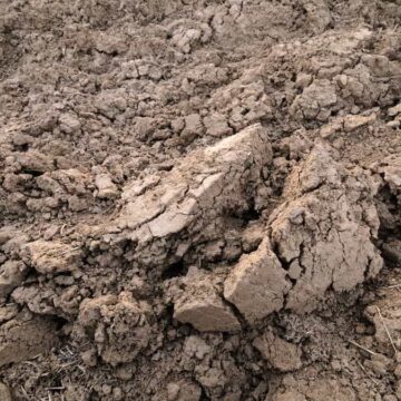 На Рогатинщині чоловік накопав понад дві тонни глини для будівництва — і отримав судимість