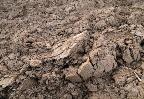 На Рогатинщині чоловік накопав понад дві тонни глини для будівництва — і отримав судимість