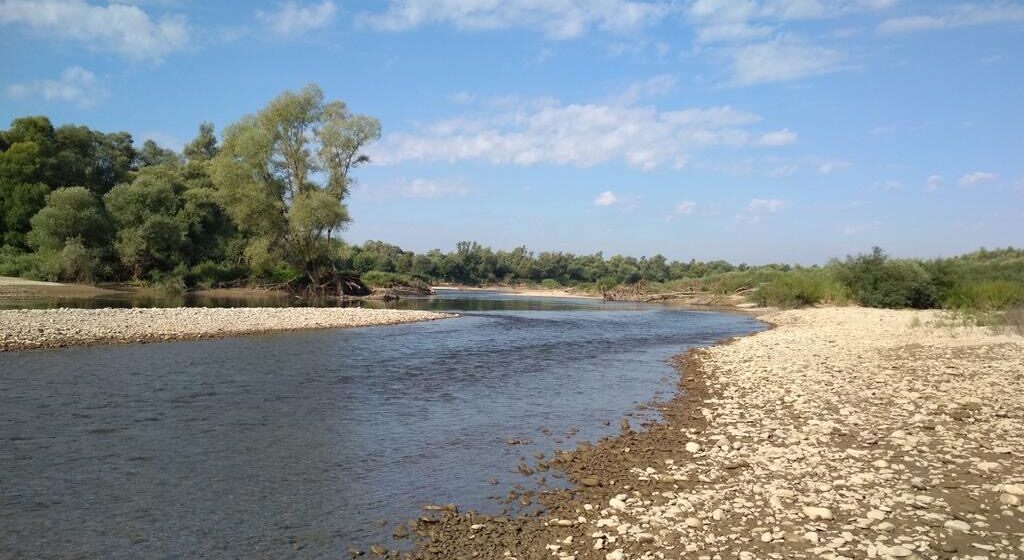 Рівень води в річках Прикарпаття стрімко падає: фахівці б’ють на сполох Рівень води в річках Прикарпаття стрімко падає: фахівці б’ють на сполох