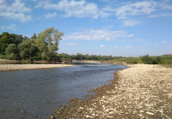 Рівень води в річках Прикарпаття стрімко падає: фахівці б’ють на сполох Рівень води в річках Прикарпаття стрімко падає: фахівці б’ють на сполох