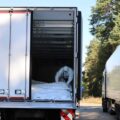 252 тіла загиблих повернули в Україну — проводитиметься ідентифікація