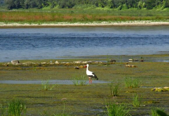 На Прикарпатті продовжуватиметься зниження рівнів води у ріках до найнижчих значень за весь період спостережень